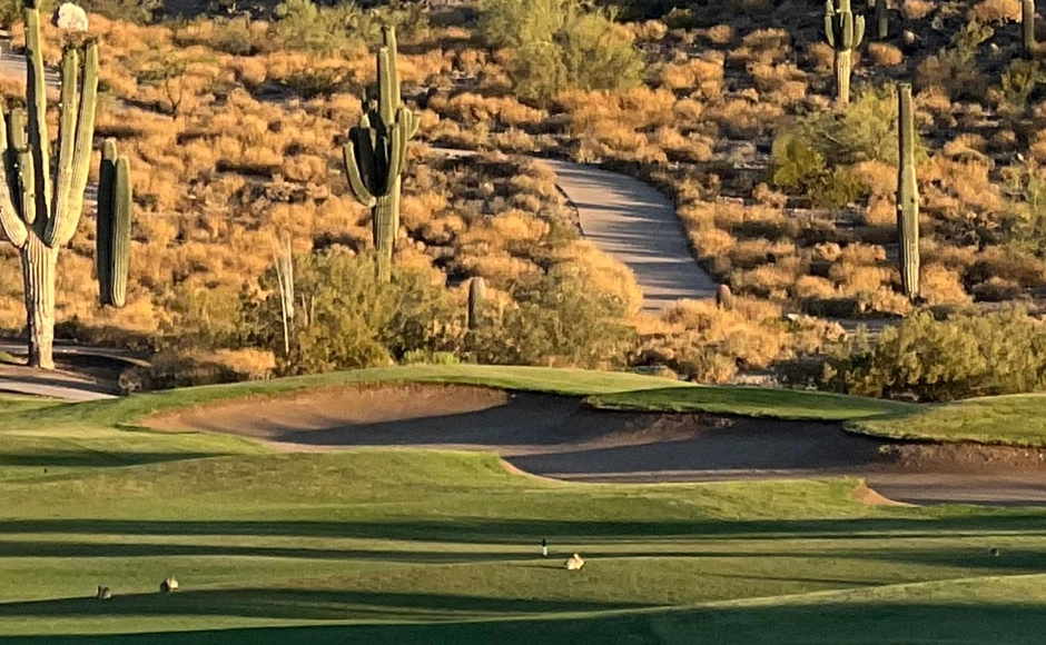 San Tan Valley-The Golf Club at Johnson Ranch-San Tan Highlands-Health-Insurance